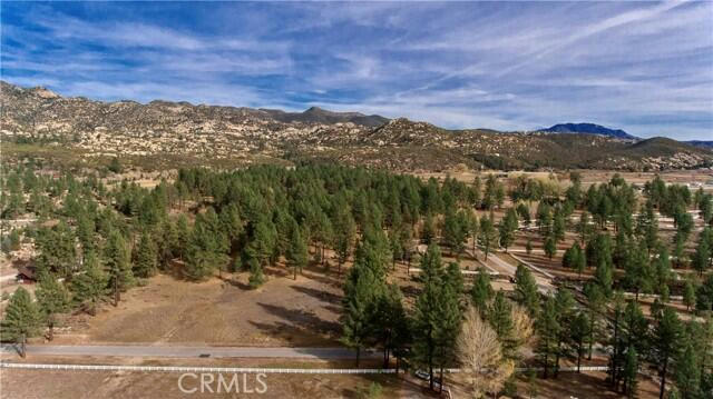 2 BUTTERFLY PEAK ROAD, MOUNTAIN CENTER, CA 92561, photo 2 of 24