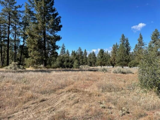 LOT 19 DEVILS LADDER ROAD, MOUNTAIN CENTER, CA 92561, photo 2 of 8