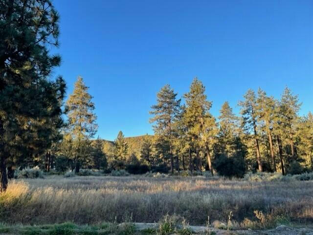LOT 19 DEVILS LADDER ROAD, MOUNTAIN CENTER, CA 92561, photo 1 of 8