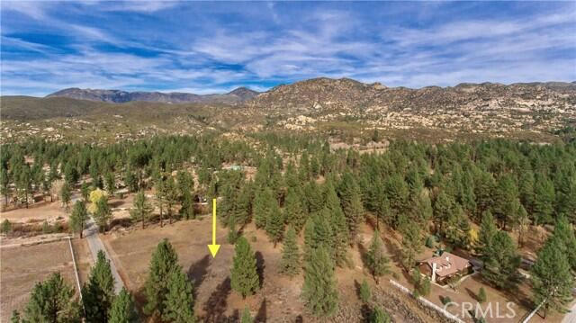 2 BUTTERFLY PEAK ROAD, MOUNTAIN CENTER, CA 92561, photo 3 of 24