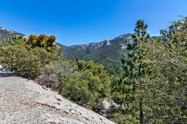 54560 CRAGHILL DR, IDYLLWILD, CA 92549, photo 3 of 49