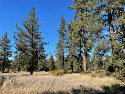 LOT 19 DEVILS LADDER ROAD, MOUNTAIN CENTER, CA 92561, photo 5 of 8