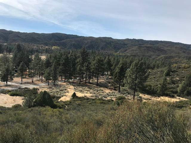 1 BUTTERFLY PEAK ROAD, MOUNTAIN CENTER, CA 92561, photo 1 of 6