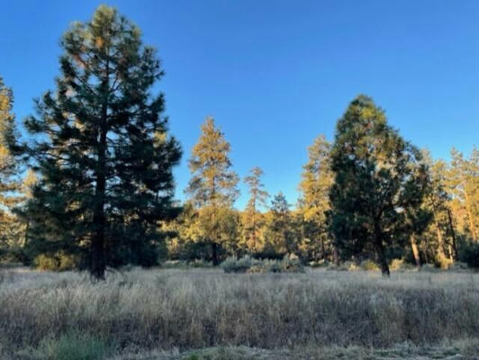 LOT 19 DEVILS LADDER ROAD, MOUNTAIN CENTER, CA 92561, photo 4 of 8