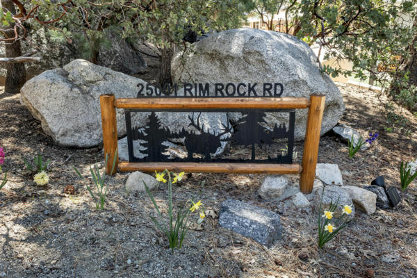 25001 RIM ROCK RD, IDYLLWILD, CA 92549, photo 2 of 62